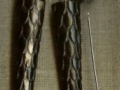 Reproduction