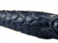 Reproduction
