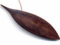 Reproduction