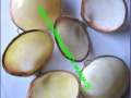 Reproduction