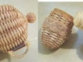 Reproduction