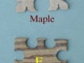 Reproduction