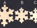 Reproduction