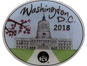 2018 "Washington DC" Convention Pin